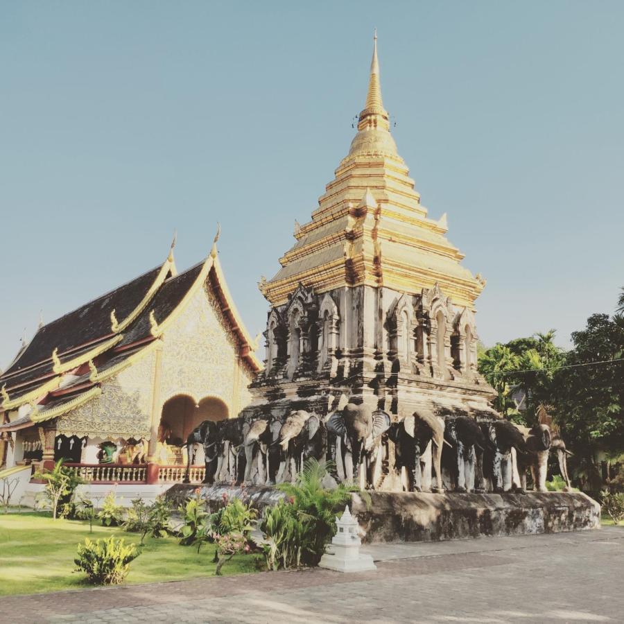 Pinghostel (Adults Only) Chiang Mai Eksteriør billede
